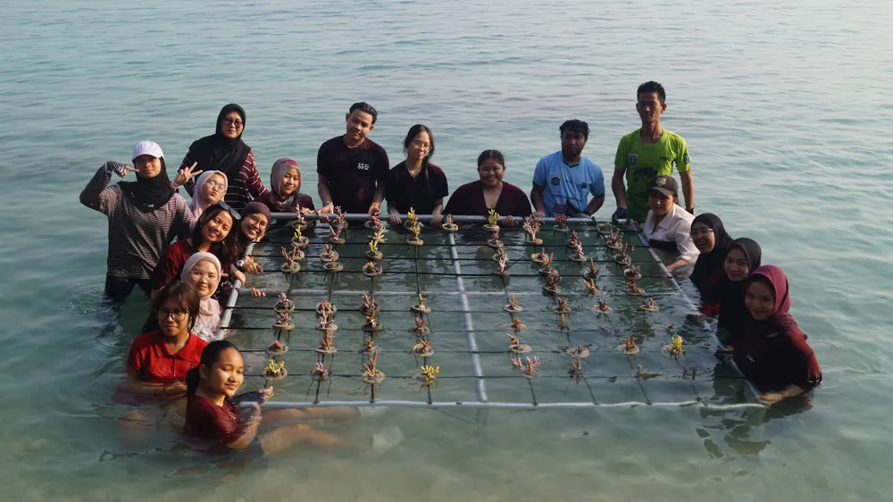 Relawan Kita Bahagia merawat terumbu karang di laut Pulau Tidung